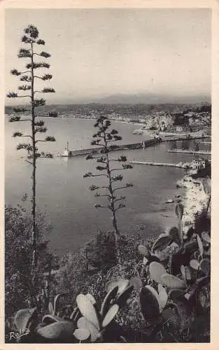C056 Frankreich Schöne vue prise du Mont-Baron Cote d'Azur Vintage Postkarte