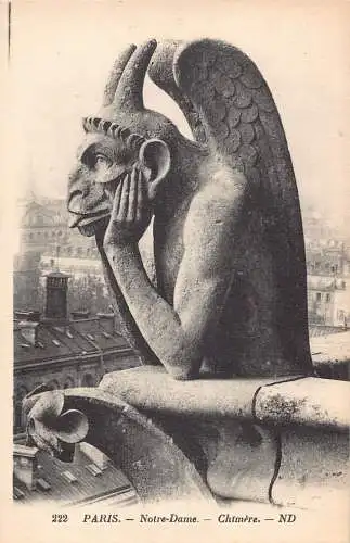 C056 Frankreich Paris Kathedrale Notre Dame Chimäre Vintage Postkarte