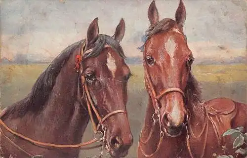 A146 Künstlerkarte Paar braune Pferde aus Profil Vintage Postkarte
