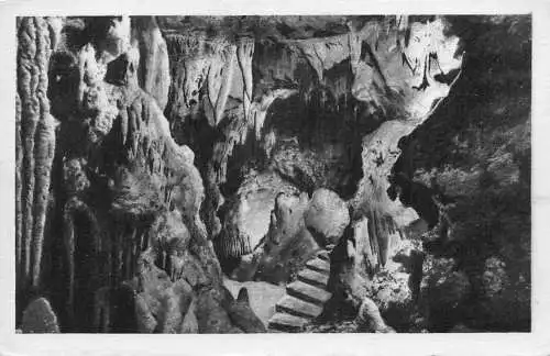 C061 Frankreich Les Grottes de Saint Cezaire Das Feenzimmer Vintage Postkarte