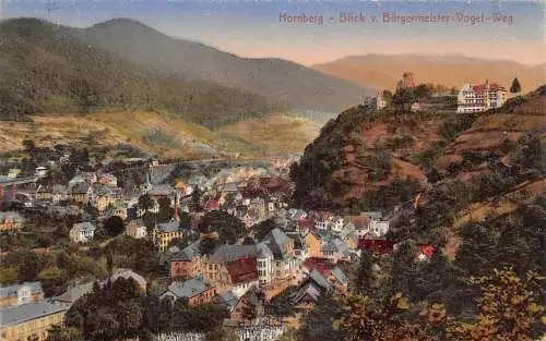 A168 Deutschland 1925 Hornberg Blick Buergermeister Vogel Weg Postkarte