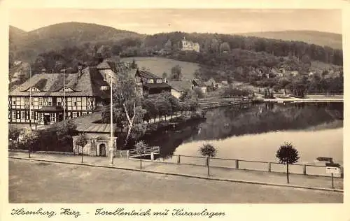 A166 Deutschland 1941 Ilsenburg Harz Torellenteich Kuranlagen Vintage Postkarte