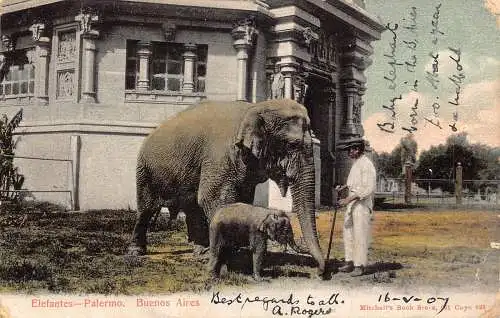 A967 Argentinien 1904 Elefant Palermo Buenos Aires Ureinwohner Vintage Postkarte