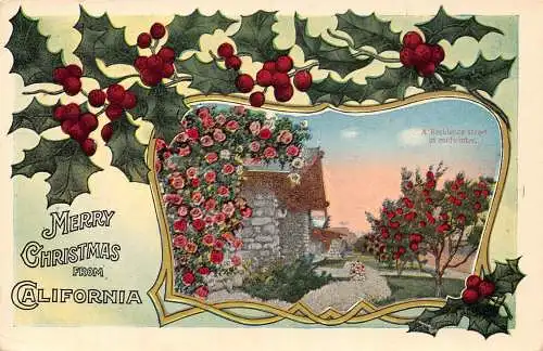 A968 USA 1915 Frohe Weihnachten aus Kalifornien Heilige Baumrosen Postkarte