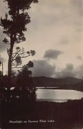 A965 Sri Lanka Ceylon Moonlight on Nuwara Eliya Lake RPPC Vintage Postkarte