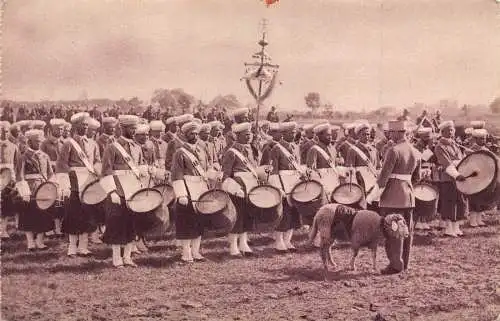 A966 Marokko Nouba Fanfare Militärkapelle Schaf Vintage Postkarte