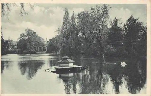 A168 Deutschland Karlsruhe Schwanensee Stadtgarten Gartensee Vintage Postkarte
