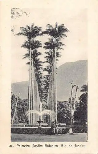 L251 Brasilien Palmeira, Jardim Botanico Rio de Janeiro. alte Postkarte