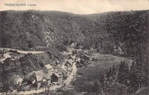 A165 Deutschland 1913 Treseburg i Harz Gesamtansicht Vintage Postkarte