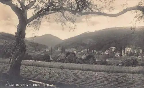 A164 Deutschland 1924 Kurort Bergzabern Blick ins Kurtal Vintage Postkarte