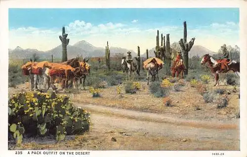 A968 US Pack Outfit on the Desert Cowboys Pferde Vintage Postkarte