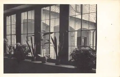A143 Deutschland Fensteransicht verziert mit Pflanzen und Blumen Vintage Postkarte