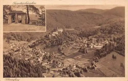 A141 Deutschland 1924 Schwarzburg Trippsteinhaeuschen Vintage Postkarte