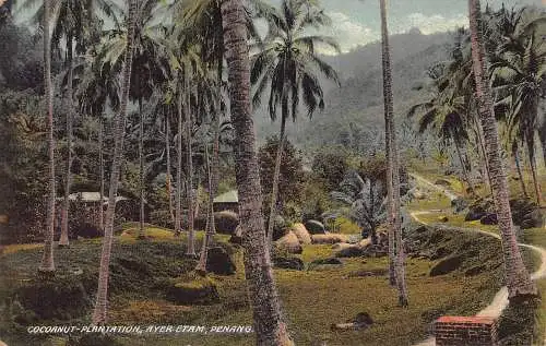 L253 Malaysia Penang Kokosnussplantage Ayer Etam Postkarte