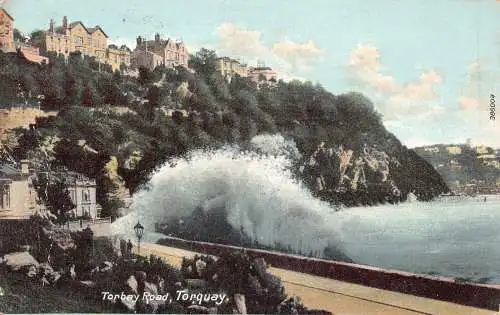 L233 England 1906 Torbay Road Torquay Vintage Postkarte