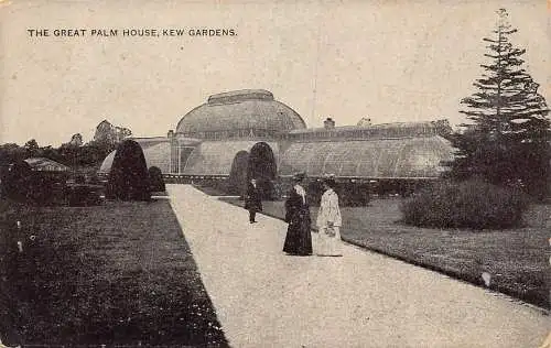 L238 England The Great Palm House Kew Gardens Vintage Postkarte