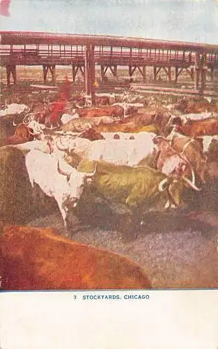 A972 US Stockyards Chicago Cattle Bullocks Illinois Postkarte