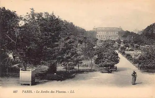 C063 Frankreich Paris Le Jardin des Plantes Vintage Postkarte