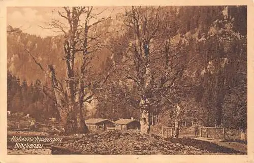 L210 Deutschland Hohenschwangau Bloeckenau Bäume Vintage Postkarte