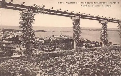 C067 Frankreich Cannes Blick zwischen den Blumen Pergola Vintage Postkarte