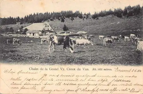 A134 Schweiz 1906 Chalet de Grand Vy Creux du Van Kühe Bauernhof Postkarte