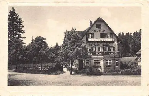 L193 Deutschland Restaurant Pension Berta Höhenluftkurort Zweiselberg AK