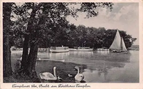 L209 Deutschland 1941 Feldpost WWII Templiner siehe Buch am Forsthaus Schwäne Postkarte