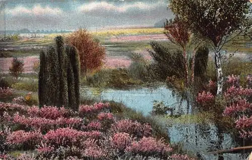 L209 Deutschland 1916 Feldpost 1. Weltkrieg Pfund Landschaft rosa Blumen Bäume Postkarte