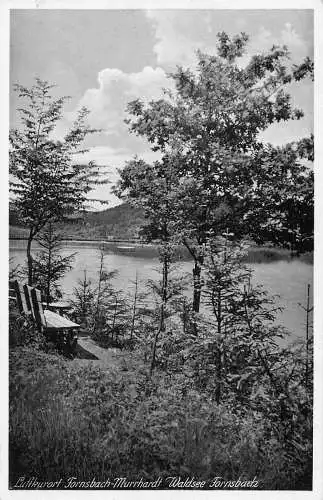 L214 Deutschland 1933 Luftkurort Fornsbach Murrhardt Waldsee Vintage Postkarte