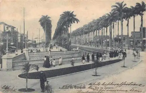 L248 Brasilien 1907 Avenida đó Mangue Rio de Janeiro Vintage Postkarte
