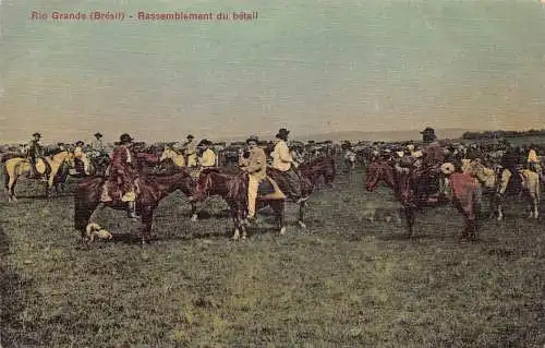L248 Brasilien Rio Grande (Brésil) Rassemblement du bétail Vintage Postkarte