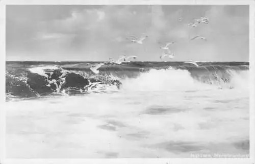 L210 Deutschland Nordsee See Sturmbrandung Wellenvögel RPPC Vintage Postkarte