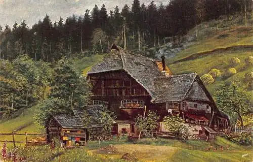 L211 Deutschland Haus aus dem Schapbachtal Vintage Postkarte