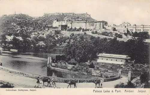 A008 Indien Jaipur Palace See und Fort Amber Kamele Transport Vintage Postkarte
