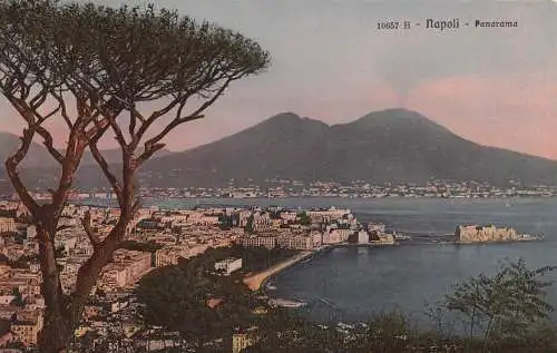 A015 Italien Napoli Neapel Panoramablick Berg Vesuv Vintage Postkarte