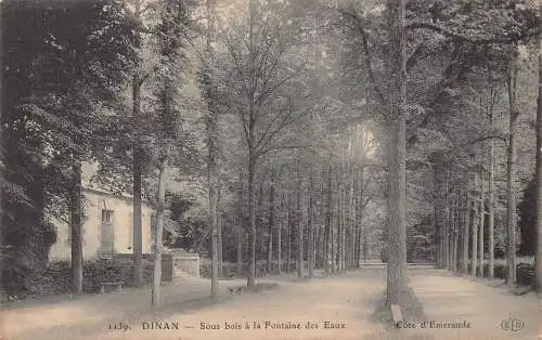 A827 Frankreich 1909 Dinan Sous Bois a Fontaine des Eaux Vintage Postkarte