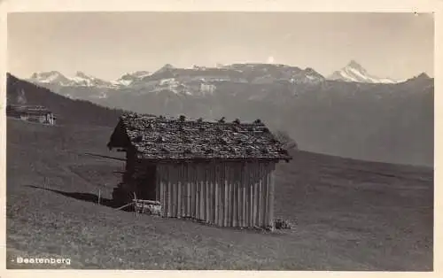 L045 Schweiz 1929 Pfandhaus Beatenberg Vintage Postkarte