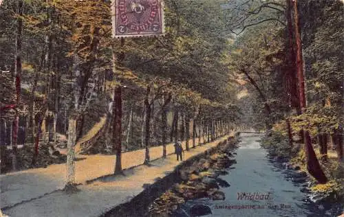 L119 Deutschland 1922 Wildbad Anlagenpartie an der Euz Wald Vintage Postkarte