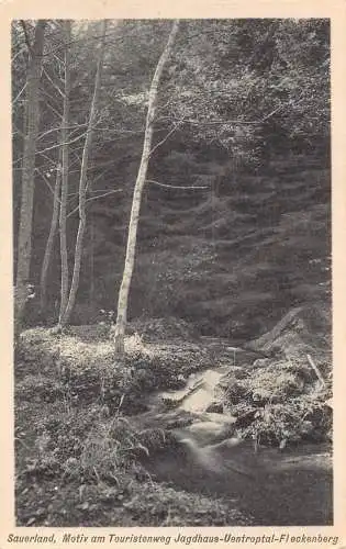 L219 Deutschland Sauerland Motiv am Touristenweg Jagdhaus Uentroptal Postkarte