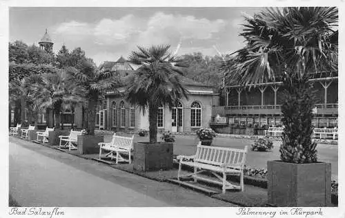 Deutschland Bad Salzuflen Palmengasse Kurpark Bänke Vintage Postkarte