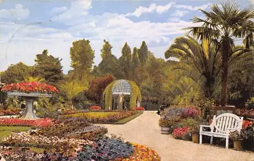 Deutschland 1927 Bad Pyrmont Partie aus Palmengarten Vintage Postkarte