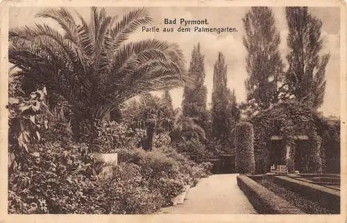 Deutschland Bad Pyrmont Palmengarten Vintage Postkarte