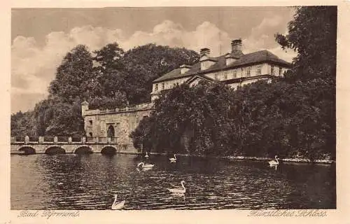 Deutschland Bad Pyrmont 1922 Fürstliches Schloss Schloss Schwäne Vintage Postkarte