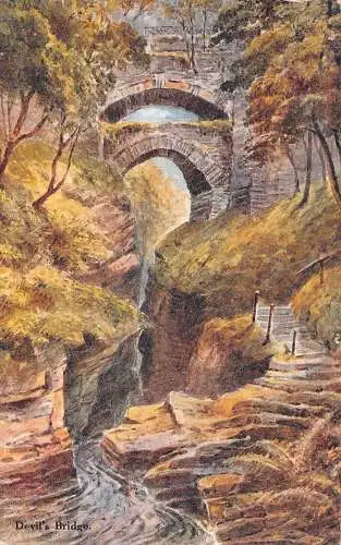 L245 Wales Devil's Bridge Trees River Vintage Postkarte