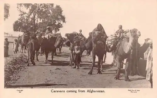 A831 Afghanistan Karawanen kommen Kamele ethnische Ureinwohner Jungen RPPC Postkarte