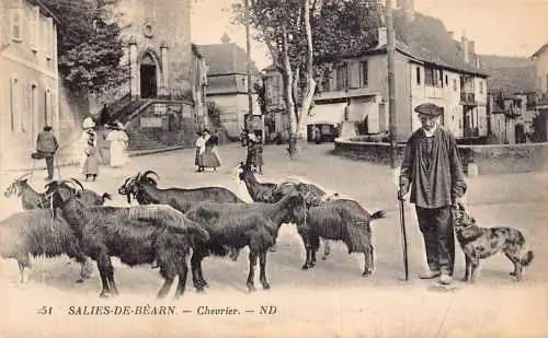 A831 Frankreich Salies de Bearn Chevier Schäferhund Ziegen Herde Hund Vintage Postkarte