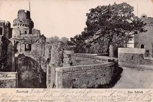 L122 Deutschland 1905 Auerbach Das Schloss Vintage Postkarte