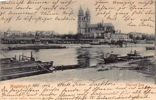 L119 Deutschland 1902 Magdeburg Elbe un Dom Kirche Boote Vintage Postkarte