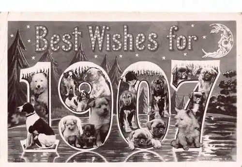 A046 Neujahrsgrüße 1907 Große Briefe Hunde Mondsichel Sterne Baum Postkarte