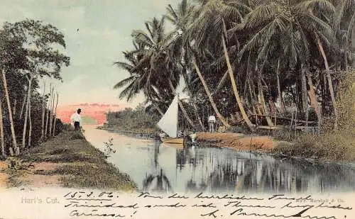 A045 Trinidad und Tobago 1906 Hurt's Cut Boot Palmen Vintage Postkarte